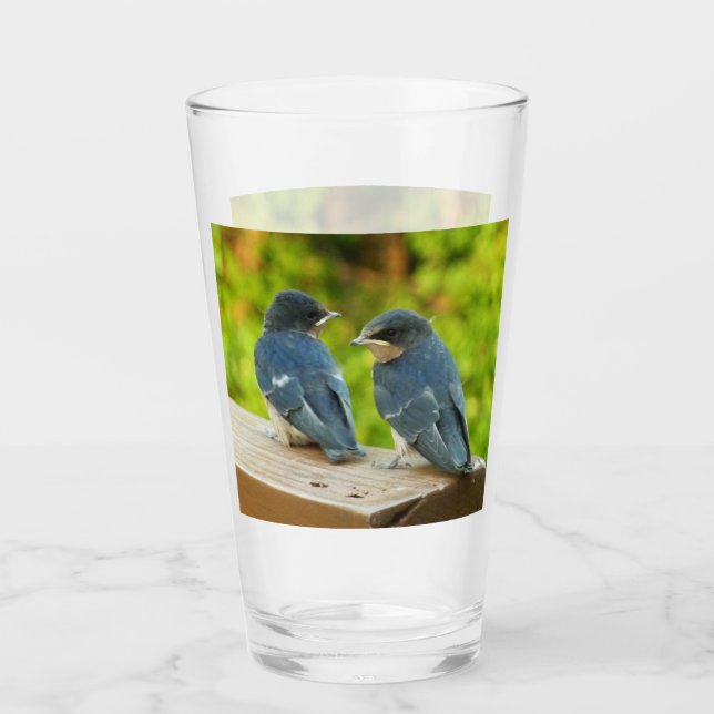 Baby Barn Swallows Nature Bird Photography Glass (Front)