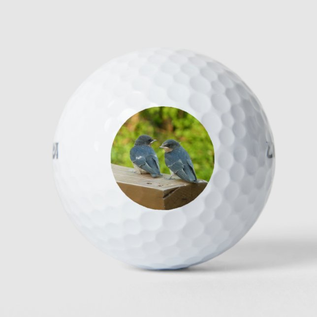 Baby Barn Swallows Nature Bird Photography Golf Balls (Front)