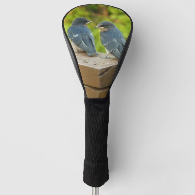 Baby Barn Swallows Nature Bird Photography Golf Head Cover (Front)