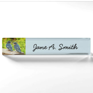 Baby Barn Swallows Nature Bird Photography Nameplate