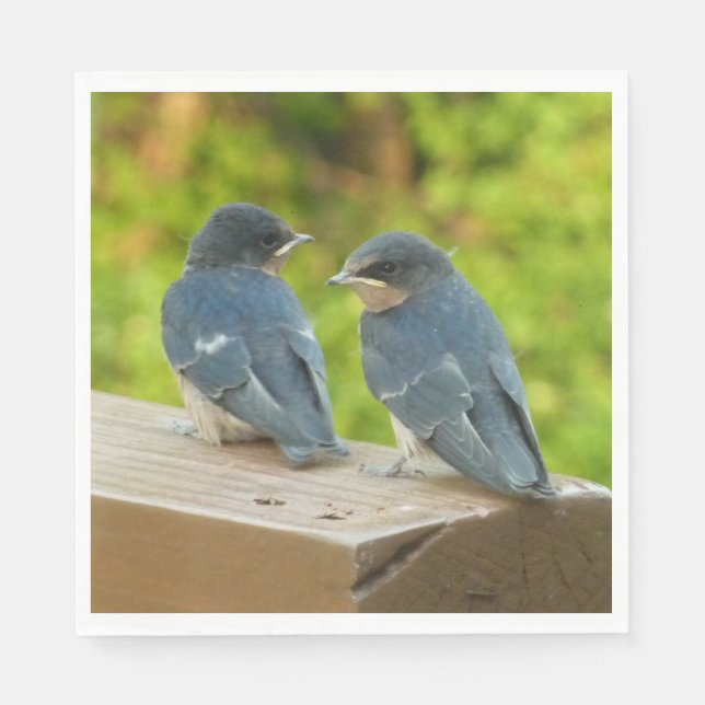 Baby Barn Swallows Nature Bird Photography Napkin (Front)