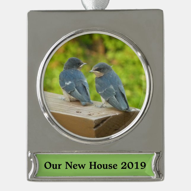 Baby Barn Swallows Nature Bird Photography Silver Plated Banner Ornament (Front)
