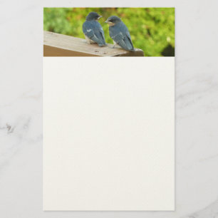 Baby Barn Swallows Nature Bird Photography Stationery