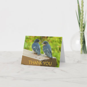 Baby Barn Swallows Thank You Card
