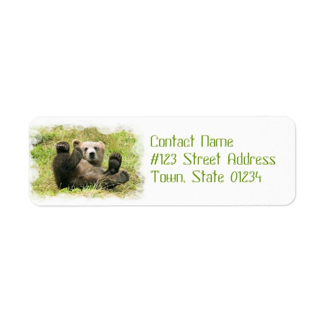 Baby Bear Return Address Label (Front)