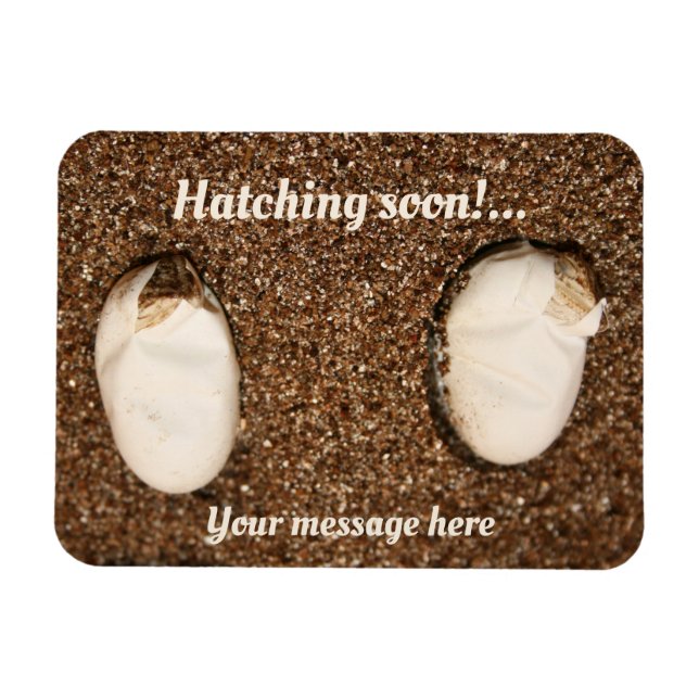 Baby Bearded Dragons Hatching! Magnet (Horizontal)