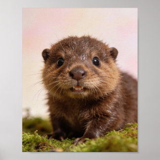 Baby Beaver Nursery Wall Art Print