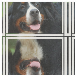 Baby  Bernese Mountain Dog Fabric