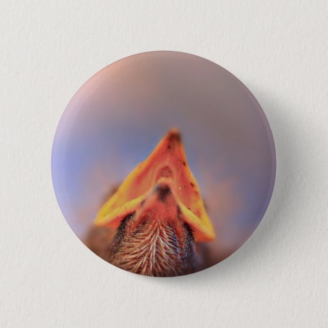 Baby Bird 2 6 Cm Round Badge (Front)