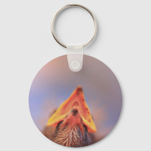 Baby Bird 2 Key Ring