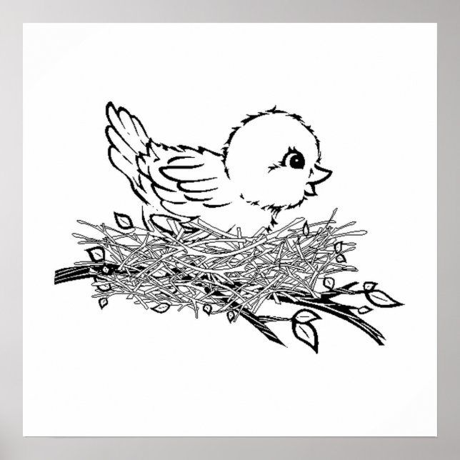 Baby Bird In Nest Poster (Front)