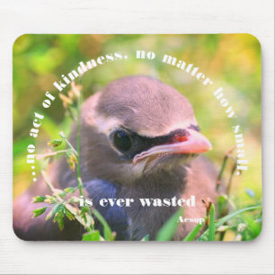 Baby Bird Kindness Quote Inspirational Mouse Pad