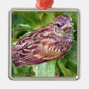 Baby Bird Metal Tree Decoration