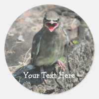 Baby Bird Nature Photography Sticker