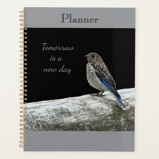 Baby Bird Planner (Front)