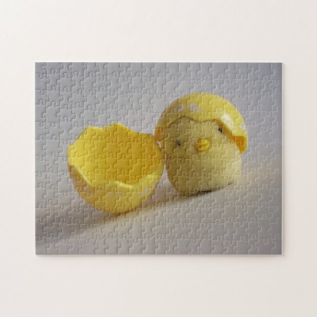 Baby Bird Puzzle (Horizontal)