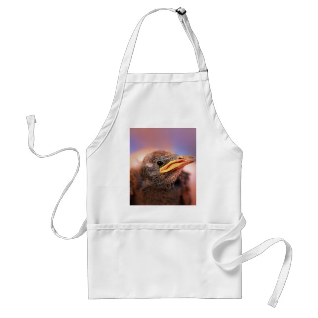 Baby Bird Standard Apron (Front)