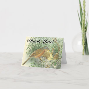 Baby Birds in a Nest "Thank You!" Postcard