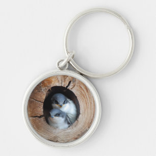 Baby Birds Key Ring