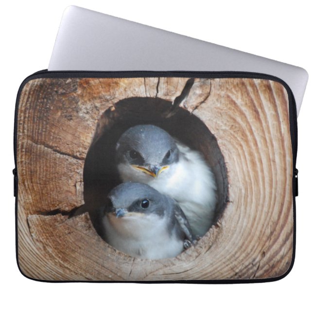 Baby Birds Laptop Sleeve (Front)