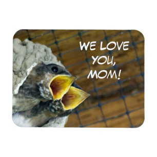 Baby Birds Premium Magnet