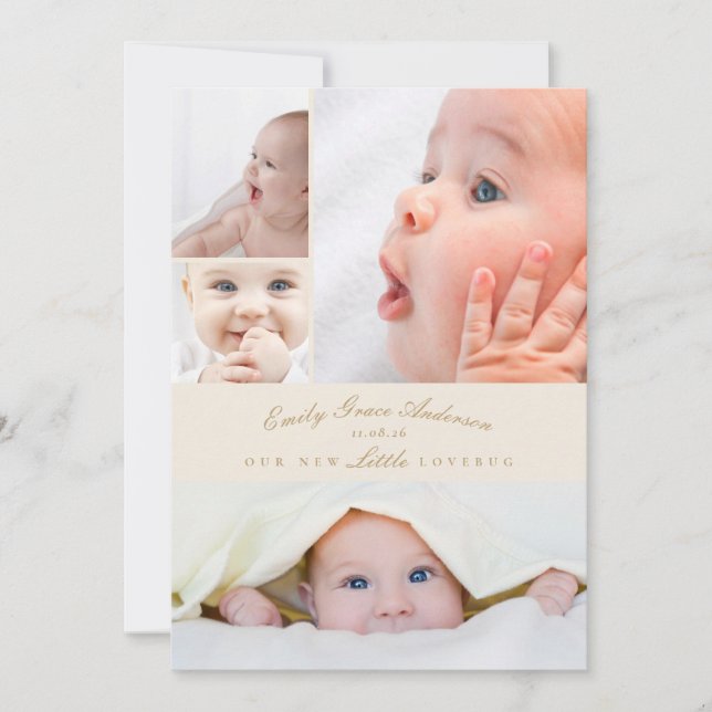 Baby Birth Announcement 5 Collage Little Love Bug (Front)