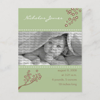 Baby Birth Announcement Sage Green Branch Design Postcard