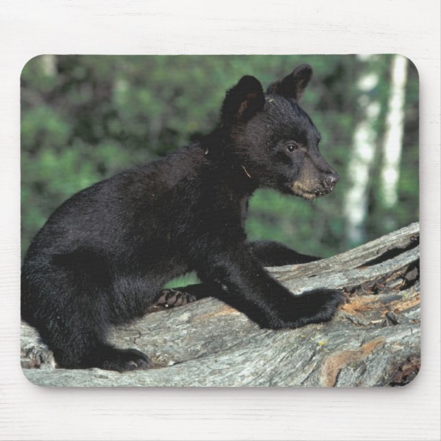 Baby Black Bear Cub Mouse Pad (Front)