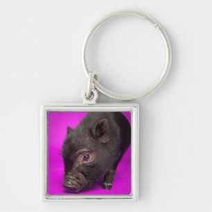 Baby Black Pig Key Ring