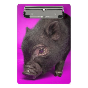 Baby Black Pig Mini Clipboard