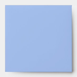 Baby Blue Black Linen Envelopes
