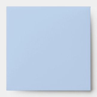 Baby Blue Brown Baby Boy Shower Envelope