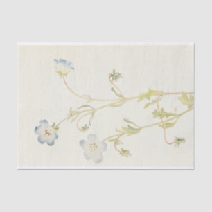 Baby Blue-Eyes by Margaret Armstrong  Tissue Paper