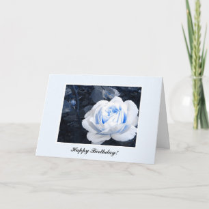 Baby Blue Rose Card