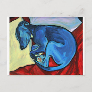 'Baby Blue' Whippet puppy Postcard
