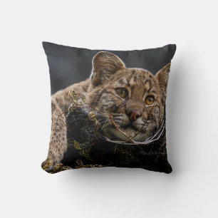 Baby Bobcat Lying in Tree Cushion
