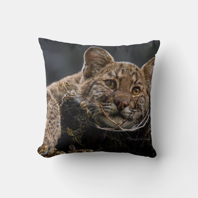 Baby Bobcat Lying in Tree Cushion (Front)