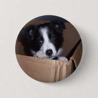 Baby Border Collie 6 Cm Round Badge