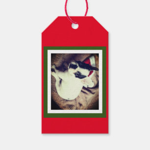 Baby Boston Bull Christmas Gift Tags