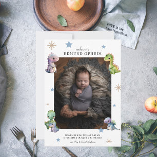 Baby Boy Dinosaur Birth Photo  Announcement