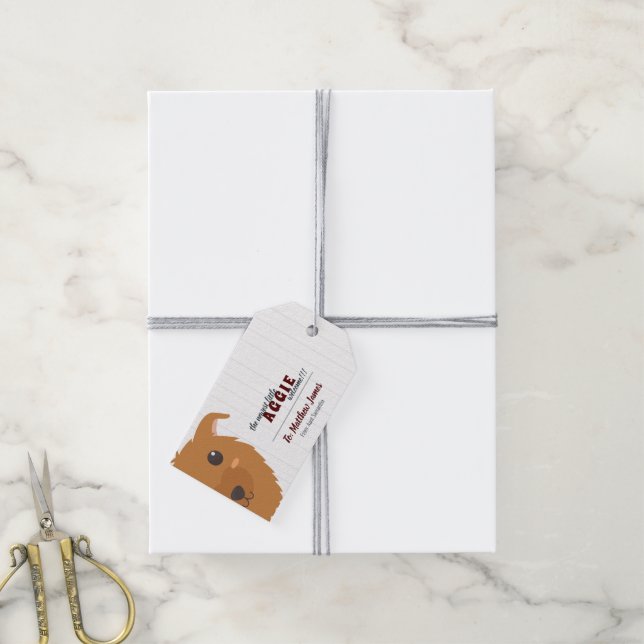 Baby Boy Dog Maroon Gift Tags (With Twine)