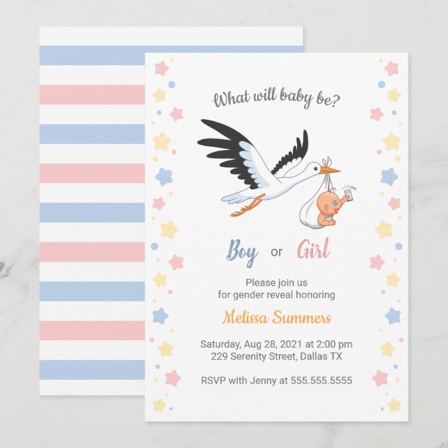 Baby Boy Girl Stork Gender Reveal Party Invitation (Front/Back)