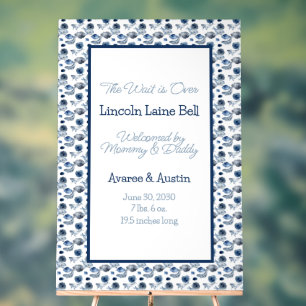 Baby Boy Welcome Sign 