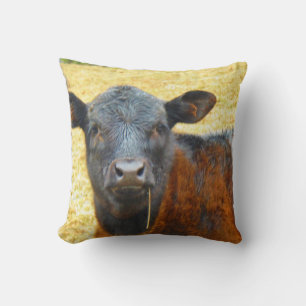Baby Brown and Black Cow Cushion