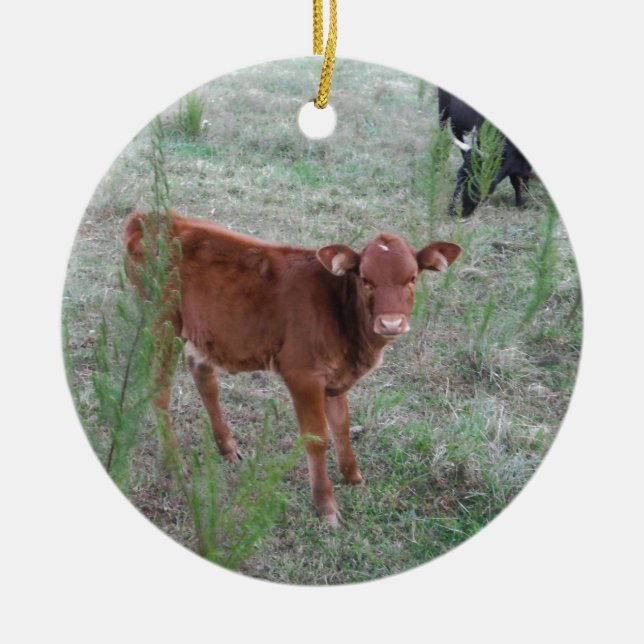 Baby Brown Cow . Ceramic Tree Decoration (Front)