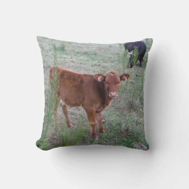 Baby Brown Cow. Cushion (Front)