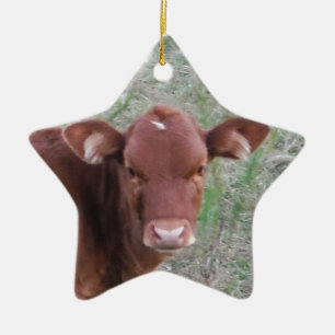 Baby Brown Cow face Ceramic Tree Decoration