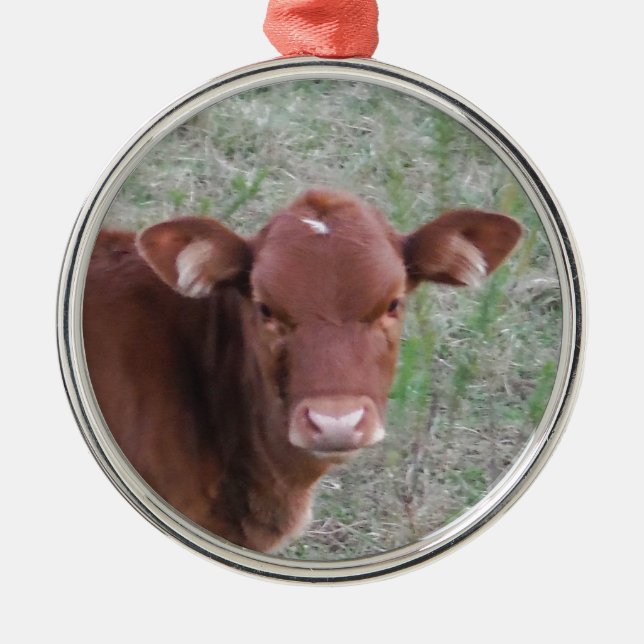 Baby Brown Cow face Metal Tree Decoration (Front)