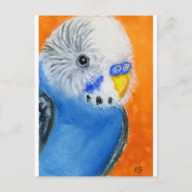 Baby Budgie Postcard (Front)
