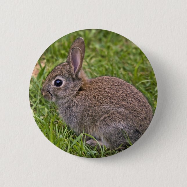 Baby Bunny Badge (Front)